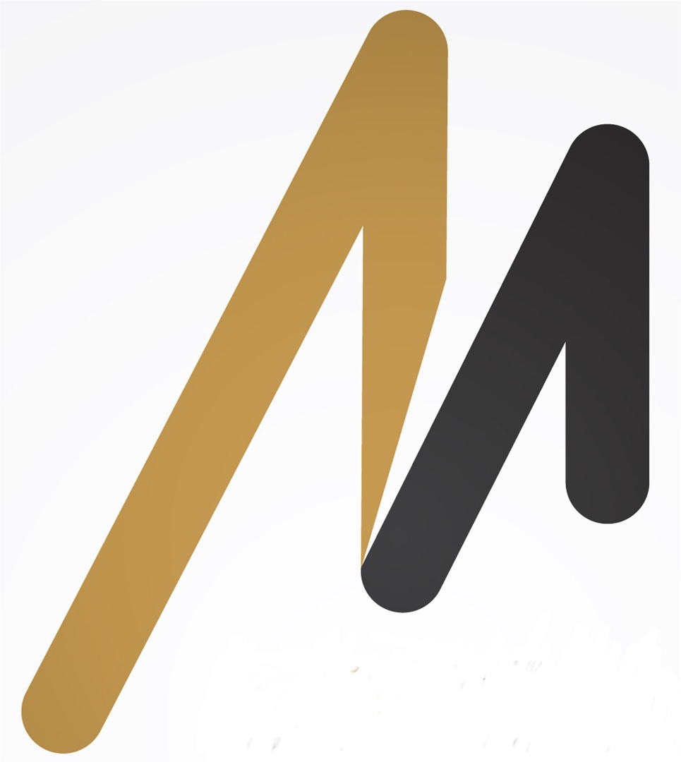MEDIENAGENTUR SEIT 1993
